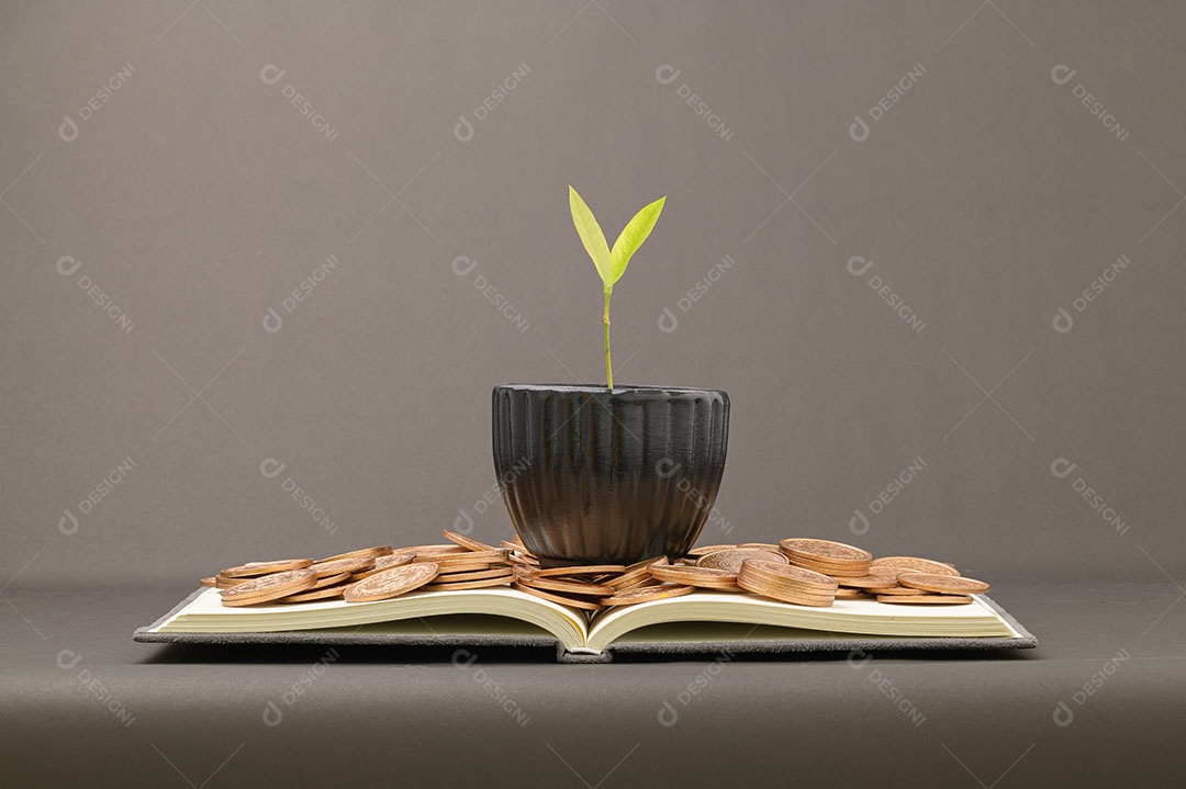 Economize no crescimento da renda de investimentos em ações