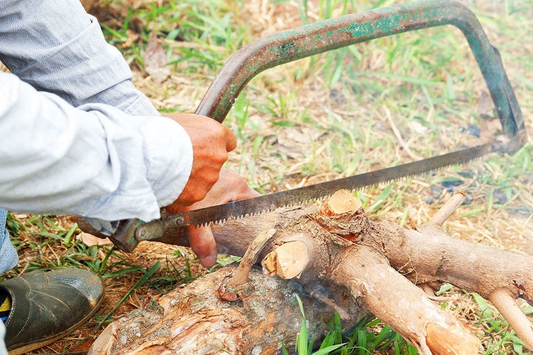 Homem está cortando madeira de árvores com serra
