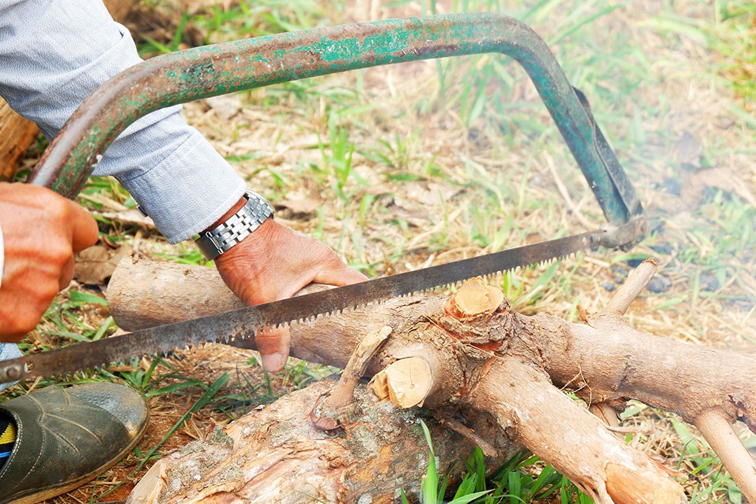 Homem está cortando madeira de árvores com serra
