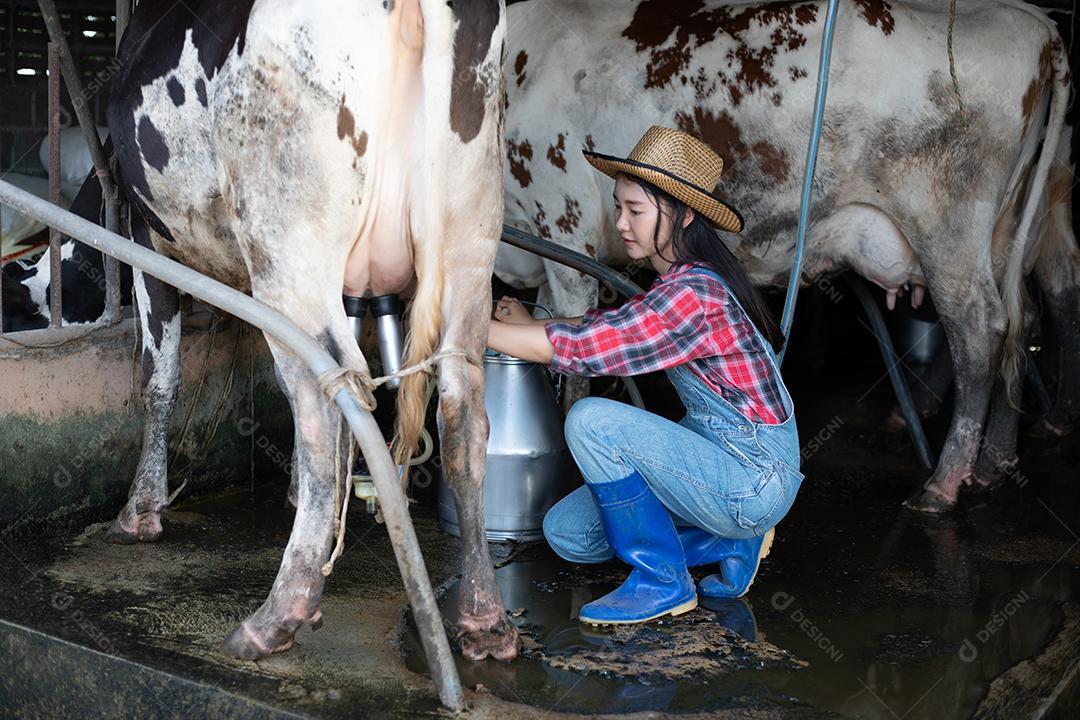 Mulheres asiáticas agricultura e indústria agrícola e conceito de pecuária - mulheres jovens ou agricultor com computador tablet pc e vacas em estábulo na fazenda de gado leiteiro com máquinas de ordenha de vaca