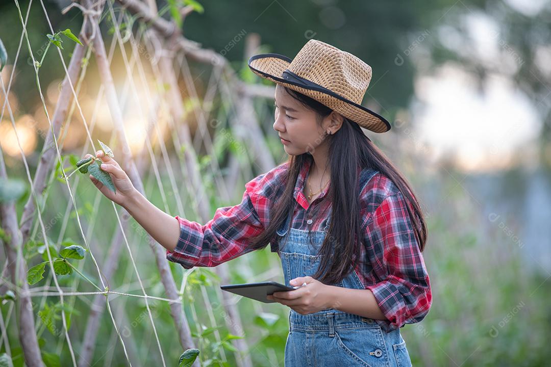 Mulheres da Ásia Agrônoma e agricultora usando tecnologia para inspecionar em campo de vegetais agrícolas e orgânicos