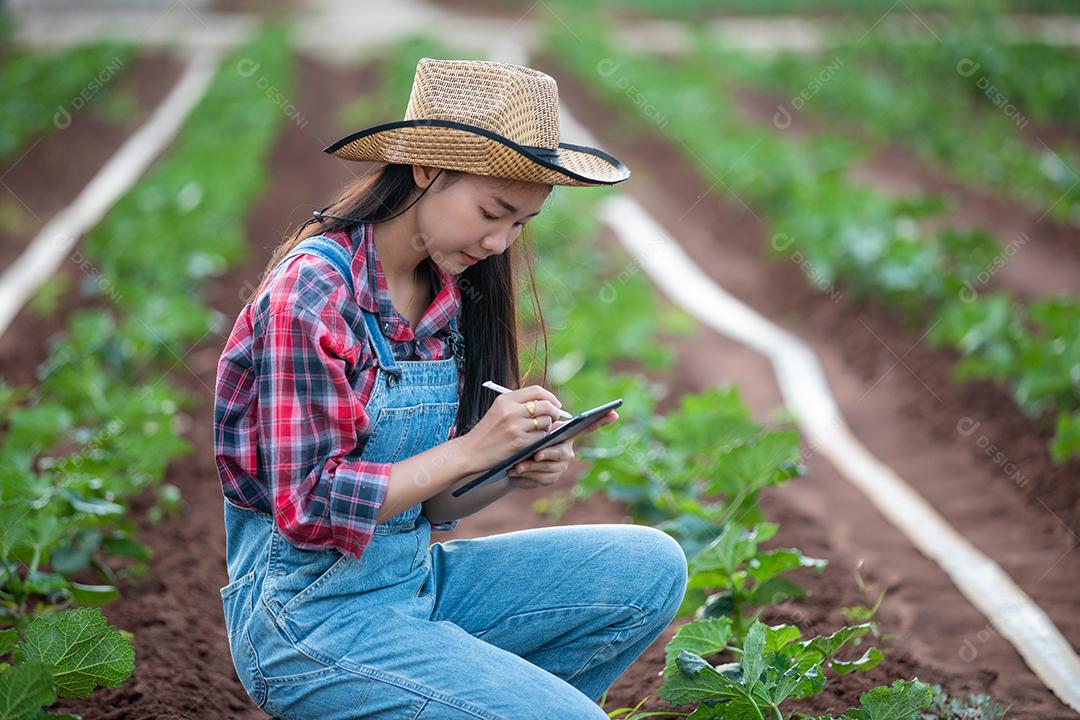 Mulheres da Ásia Agrônoma e agricultora usando tecnologia para inspecionar em campo de vegetais agrícolas e orgânicos
