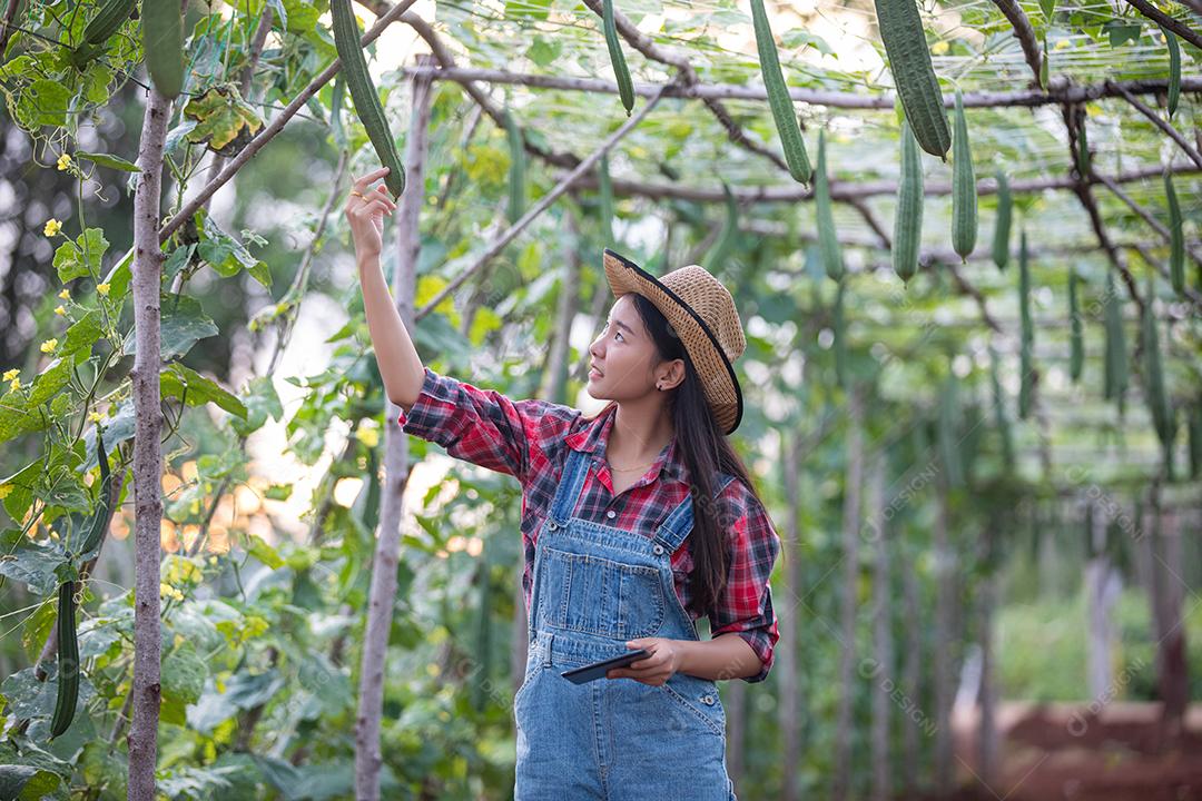 Mulheres da Ásia Agrônoma e agricultora usando tecnologia para inspecionar em campo de vegetais agrícolas e orgânicos