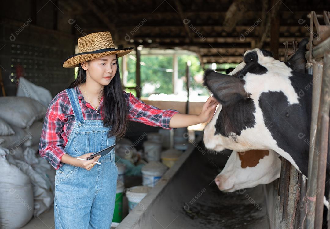 Mulheres asiáticas agricultura e indústria agrícola e conceito de pecuária - mulheres jovens ou agricultor com computador tablet pc e vacas em estábulo na fazenda de gado leiteiro com máquinas de ordenha de vaca