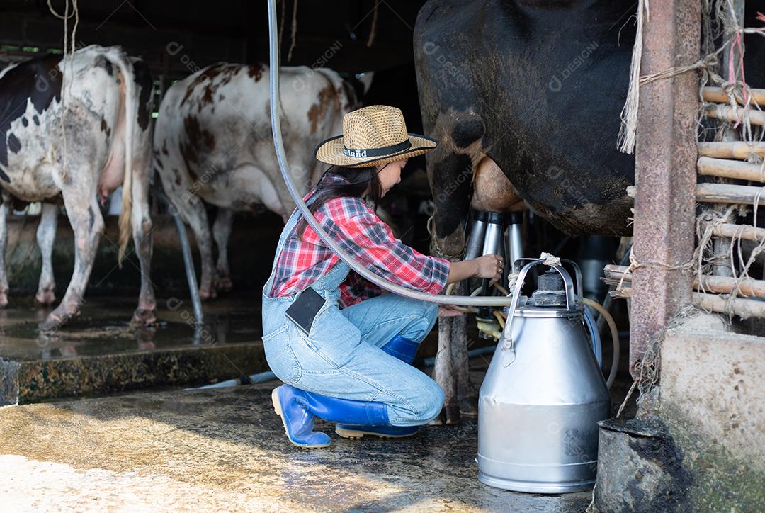 Mulheres asiáticas agricultura e indústria agrícola e conceito de pecuária - mulheres jovens ou agricultor com computador tablet pc e vacas em estábulo na fazenda de gado leiteiro com máquinas de ordenha de vaca