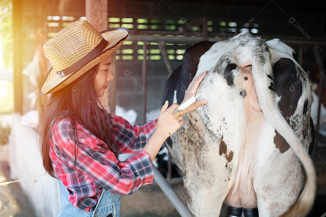 Mulheres asiáticas agricultura e indústria agrícola e conceito de pecuária - mulheres jovens ou agricultor com computador tablet pc e vacas em estábulo na fazenda de gado leiteiro com máquinas de ordenha de vaca