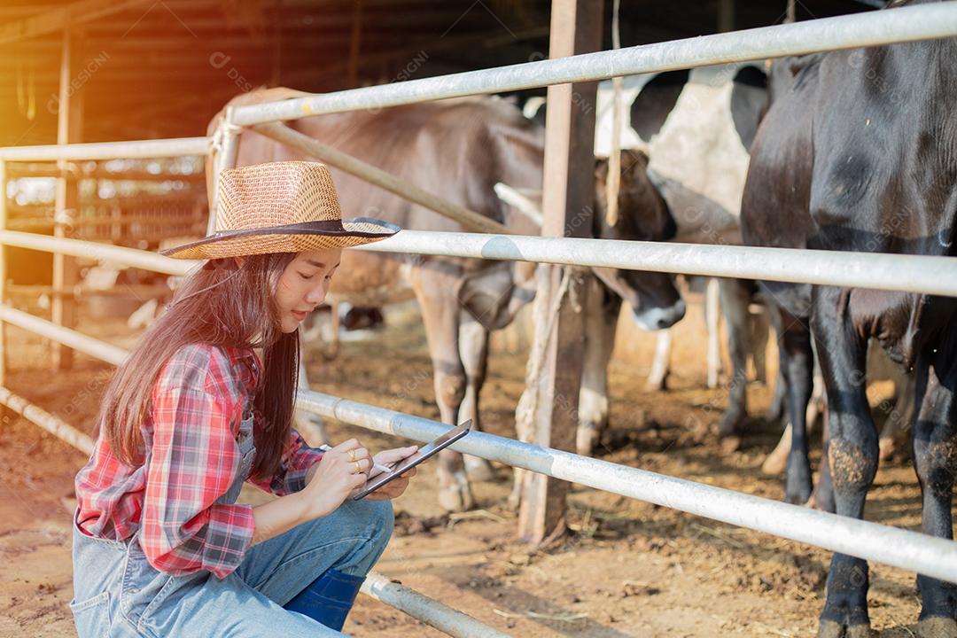 Mulheres asiáticas agricultura e indústria agrícola e conceito de pecuária - mulheres jovens ou agricultor com computador tablet pc e vacas em estábulo na fazenda de gado leiteiro com máquinas de ordenha de vaca