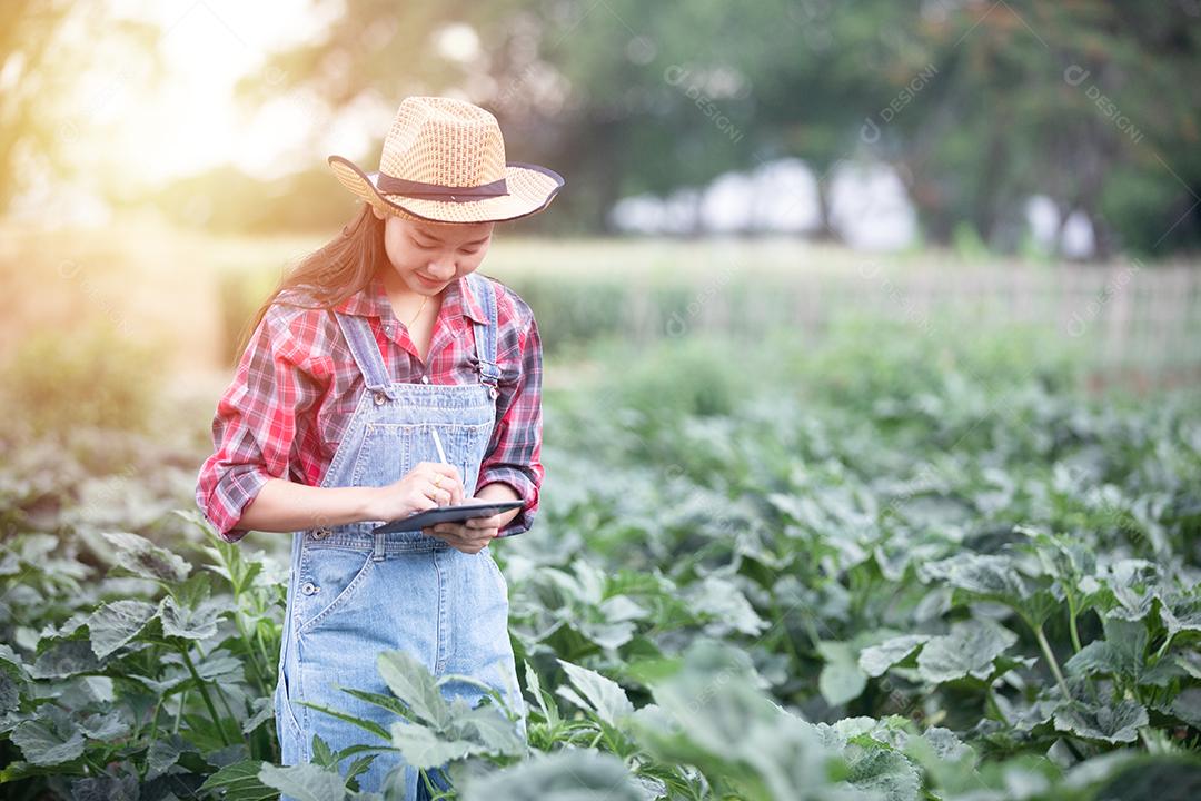 Mulheres asiáticas agrônomas e agricultoras usando tecnologia para inspecionar no campo de vegetais agrícolas e orgânicos