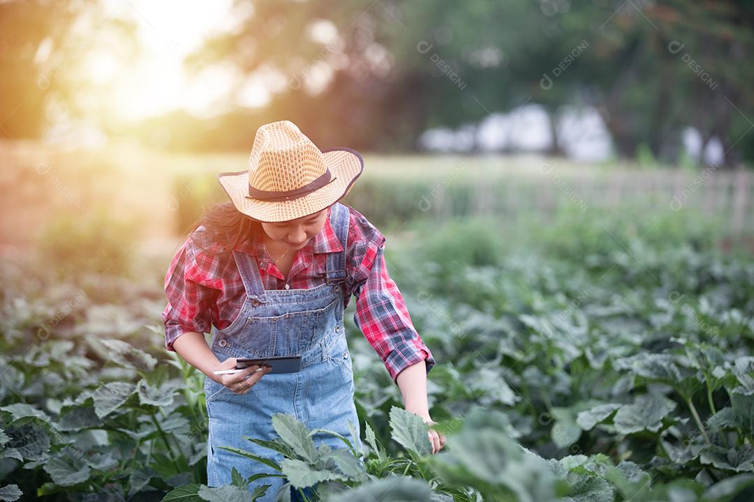 Mulheres asiáticas agrônomas e agricultoras usando tecnologia para inspecionar no campo de vegetais agrícolas e orgânicos