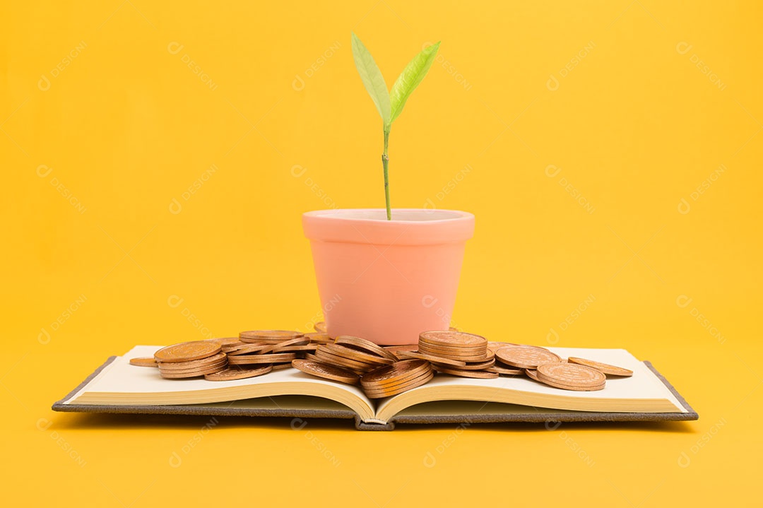 Economizar dinheiro, investir em ações, crescimento financeiro, renda