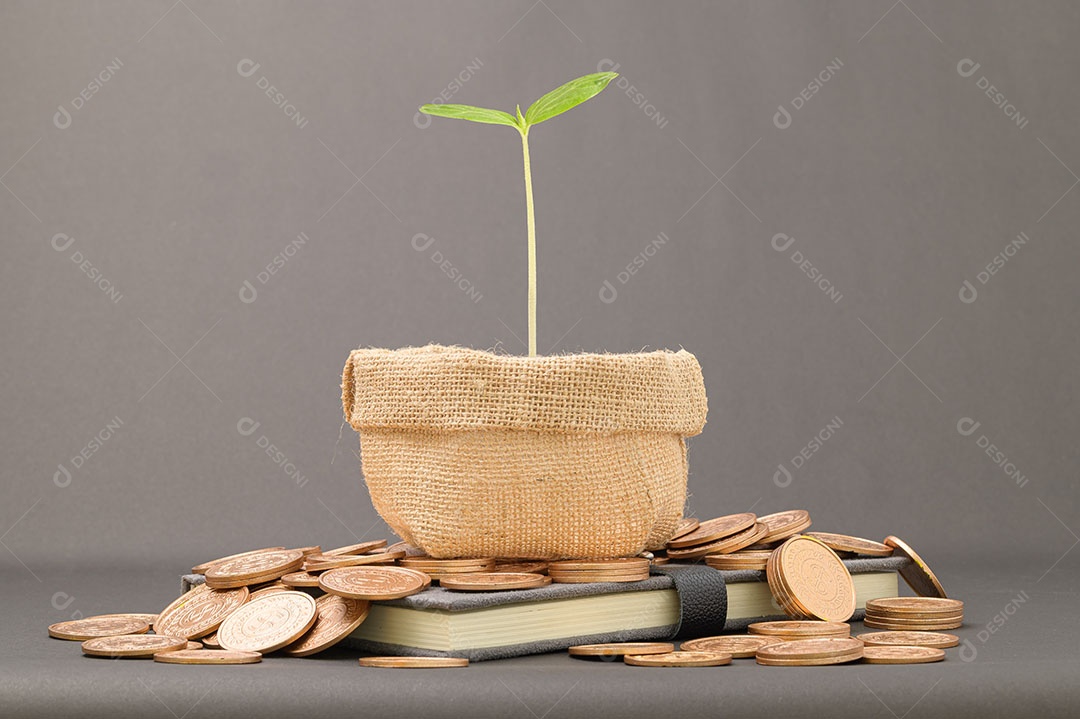 Economize no crescimento da renda de investimentos em ações