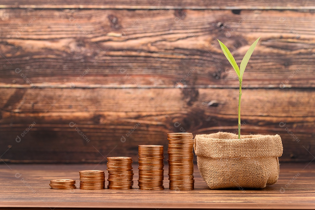 Ganhar dinheiro Economizar dinheiro Investir ações Impostos