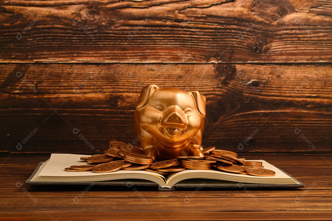 Cofrinho economizar dinheiro, renda, investir, estoque