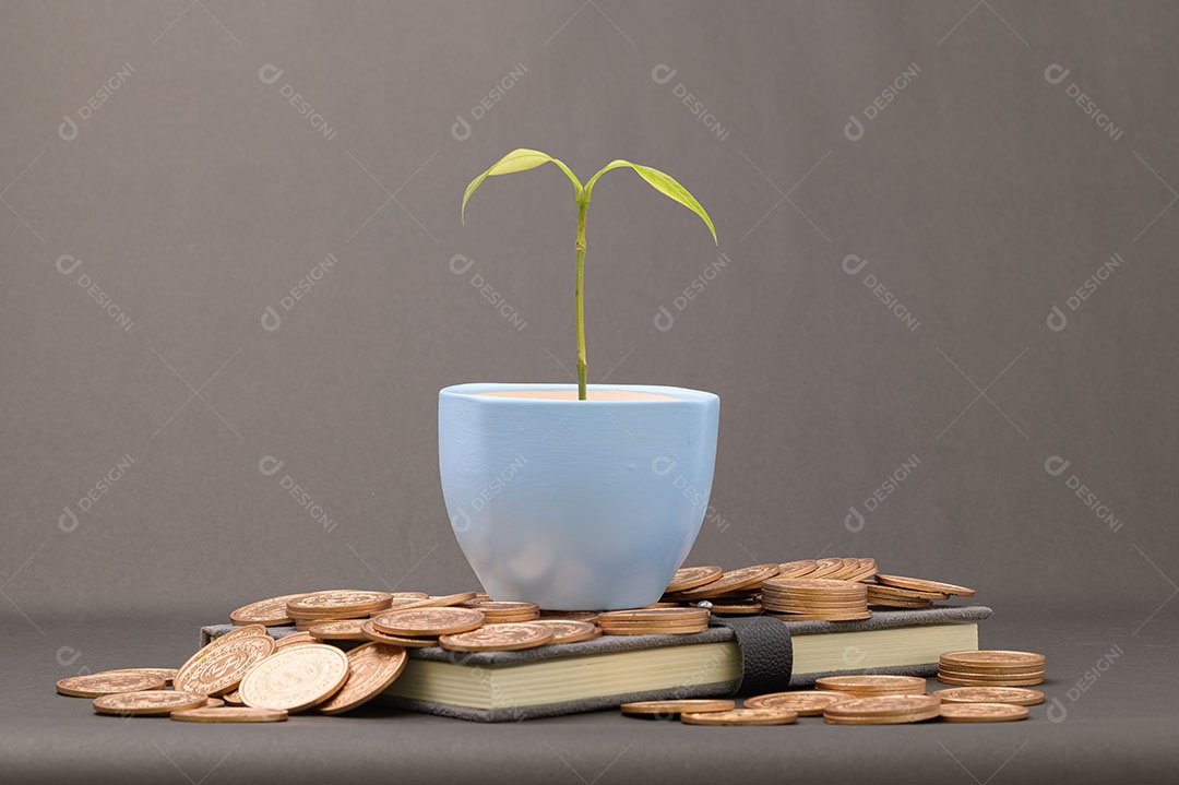 Economize dinheiro, invista, estoque, aumente a receita financeira.