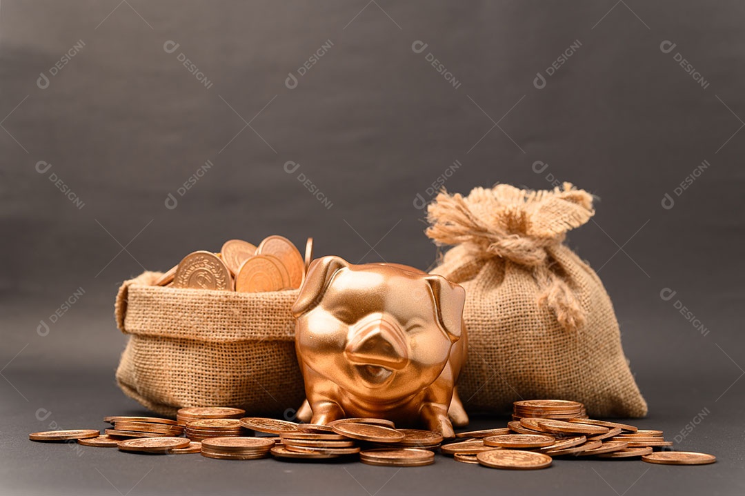 Cofrinho mostrando poupança, renda, investimentos, ações