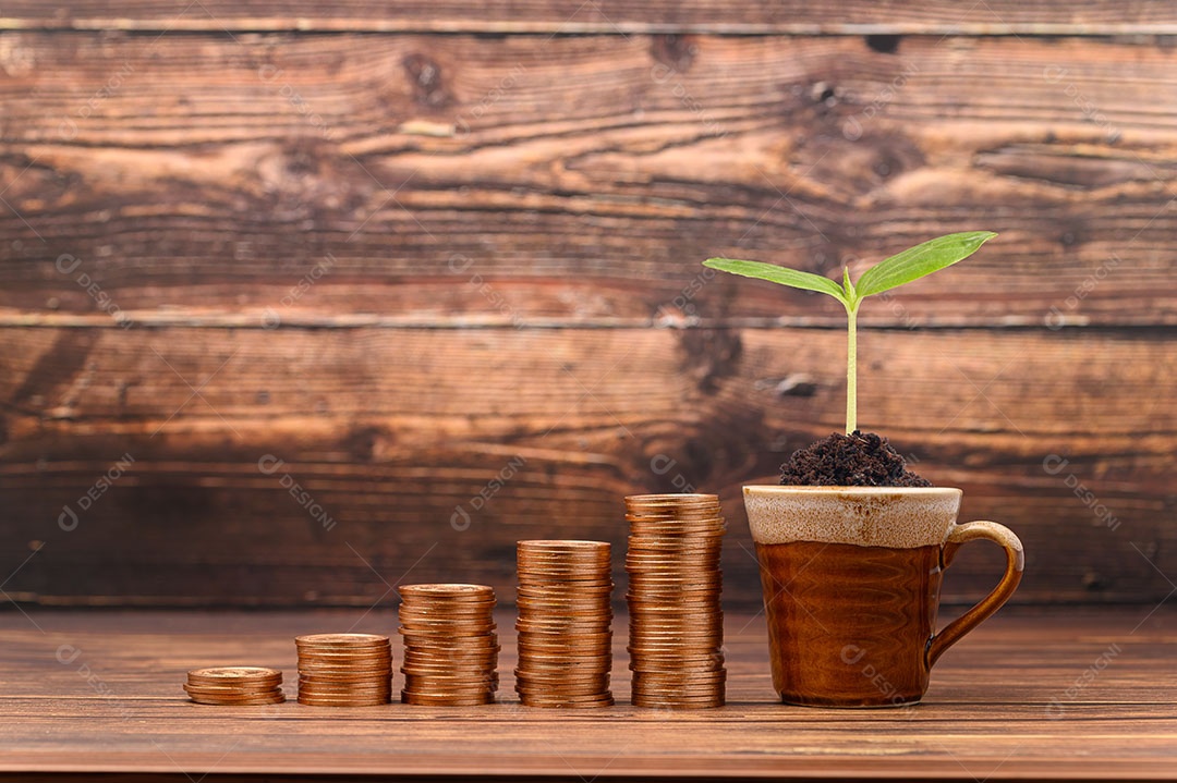 Ganhar dinheiro Economizar dinheiro Investir ações Impostos