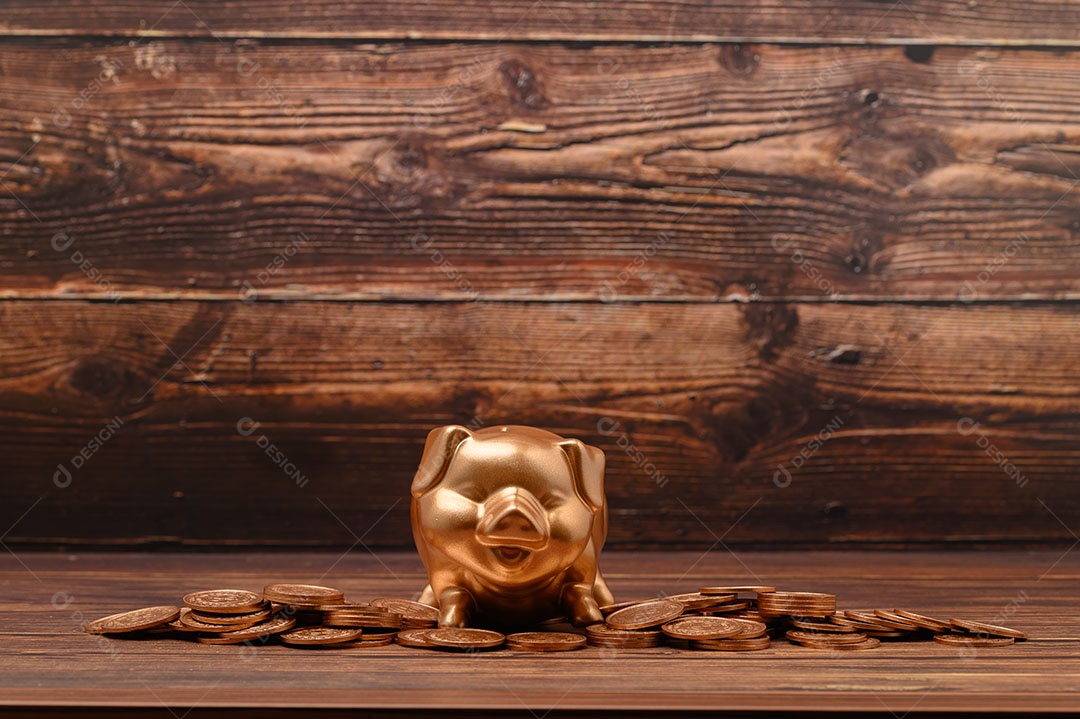 Economize dinheiro, invista, estoque, aumente a receita financeira.