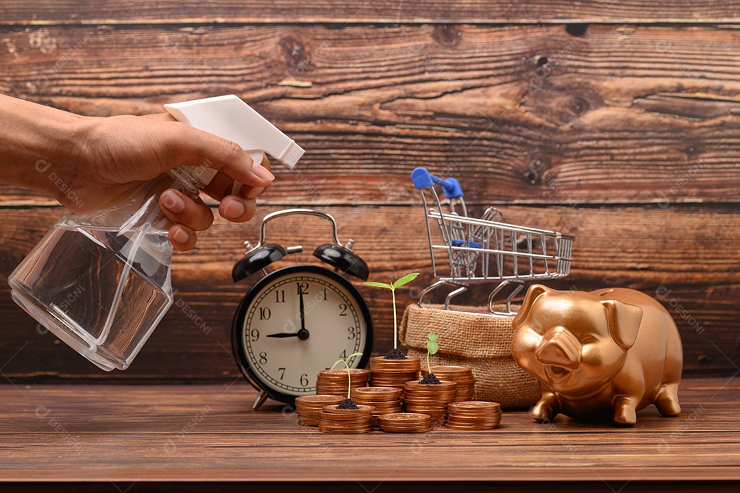 Economize dinheiro, invista, estoque, aumente a receita financeira.