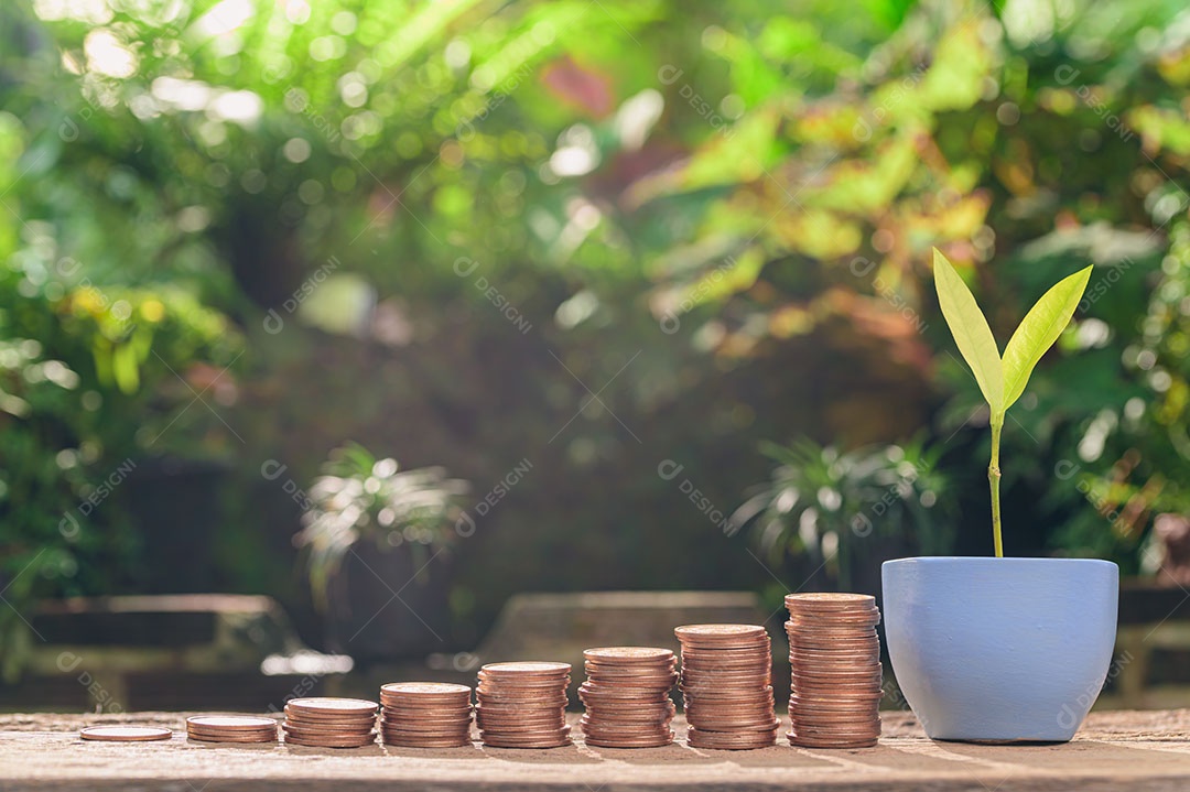 Economize dinheiro, invista ações, aumente sua renda.