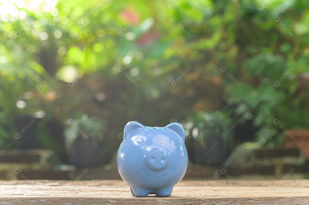 Cofrinho economiza dinheiro para o futuro