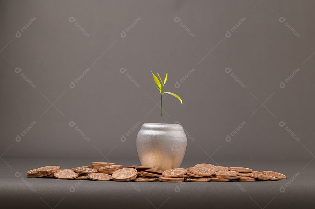 Ideias para aumentar a renda, investir, estocar, economizar