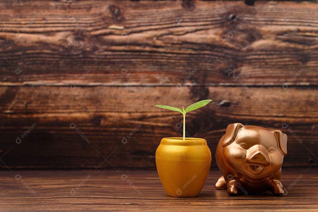 Economize dinheiro, invista ações, aumente sua renda.