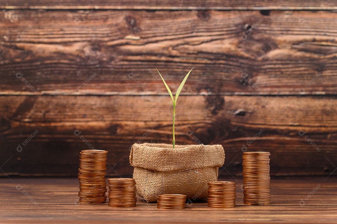 Economize dinheiro, invista ações, aumente sua renda.