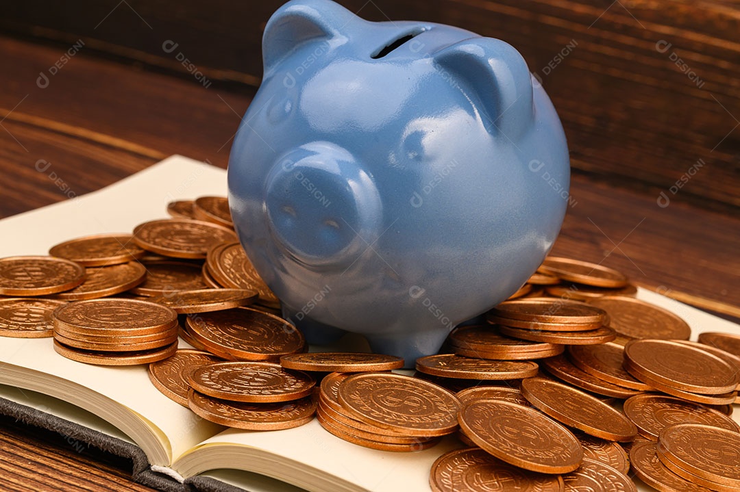 Cofrinho economizar dinheiro, renda, investir, estoque