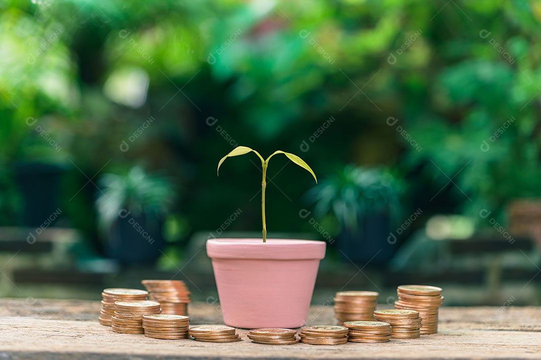 Economize dinheiro, invista ações, aumente sua renda.