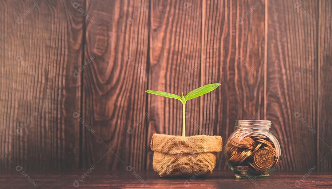 Economizar dinheiro, investir ações, renda financeira