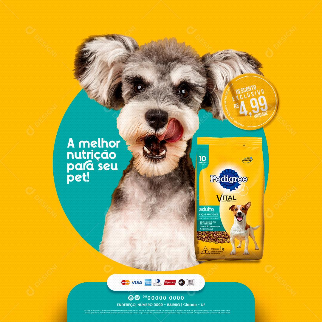 Pet Shop Ração  Pedigree Nutrição Para Seu Gatinho Social Media PSD Editável