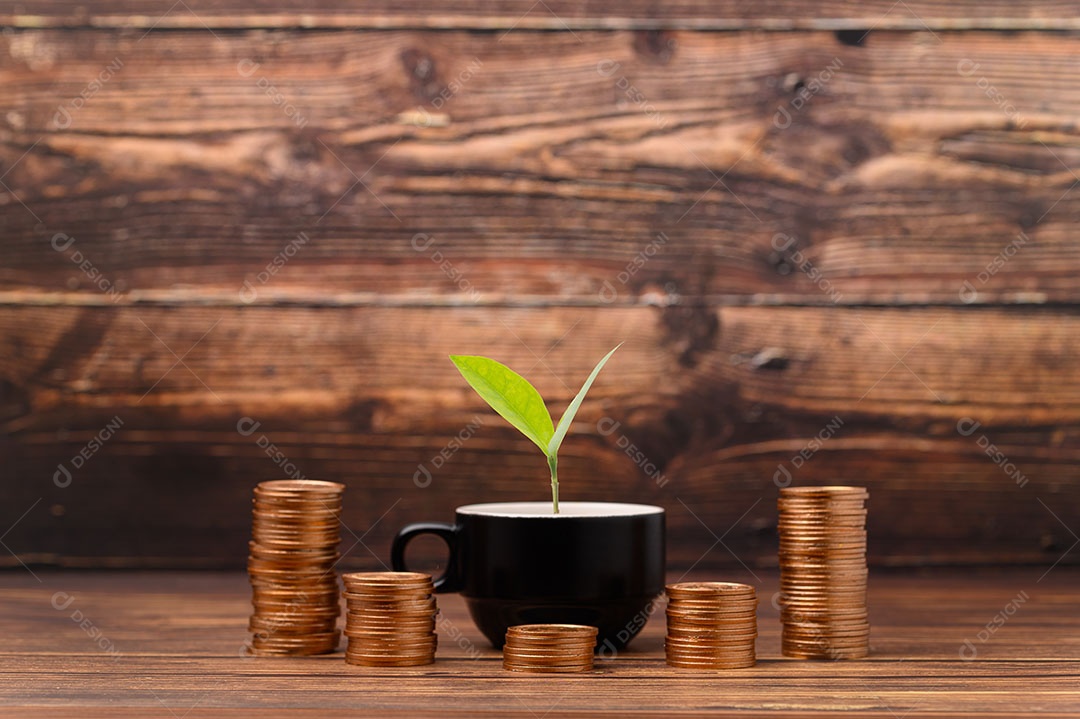 Ganhar dinheiro Economizar dinheiro Investir ações Impostos