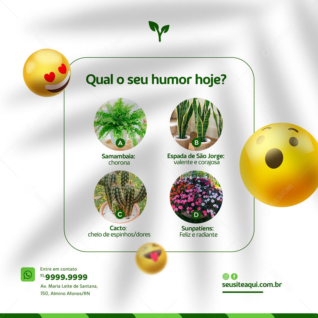 Qual o seu humor hoje samambaia Jardinagem Social Media PSD Editável