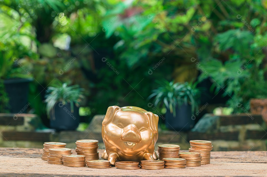 Economize dinheiro, invista ações, aumente sua renda.