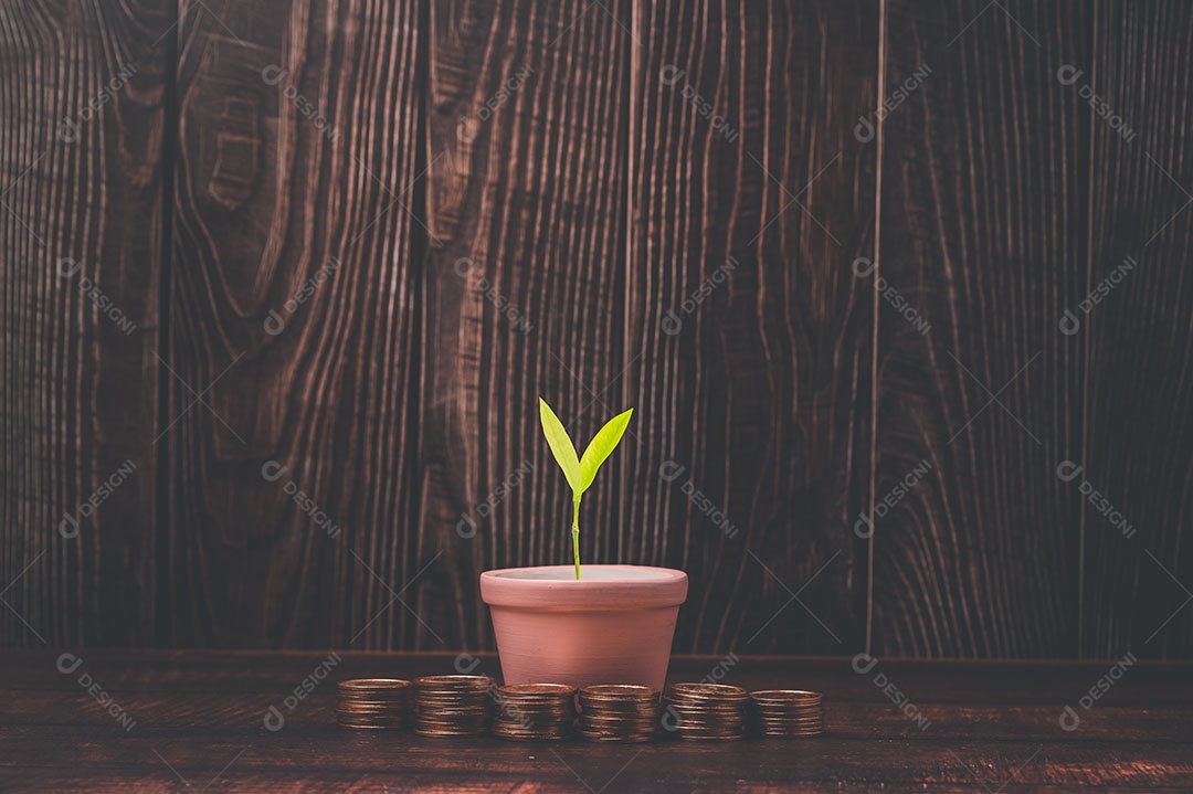 Economizar dinheiro, investir ações, renda financeira