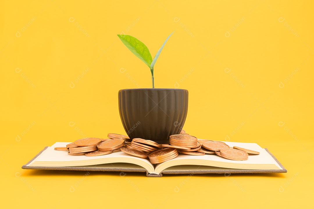 Economizar dinheiro, investir em ações, crescimento financeiro, renda