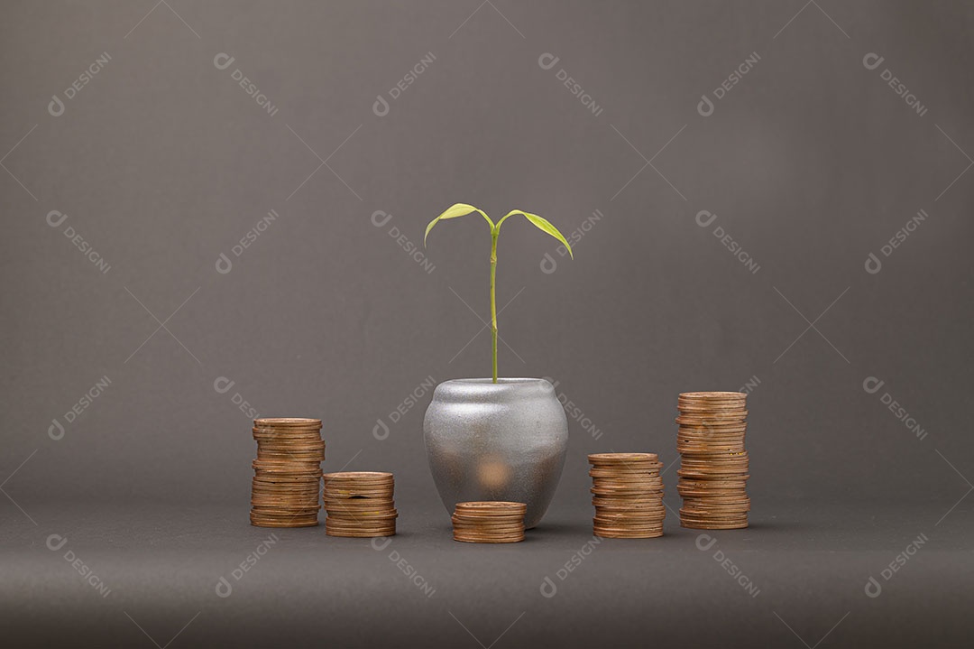 Economize no crescimento da renda de investimentos em ações