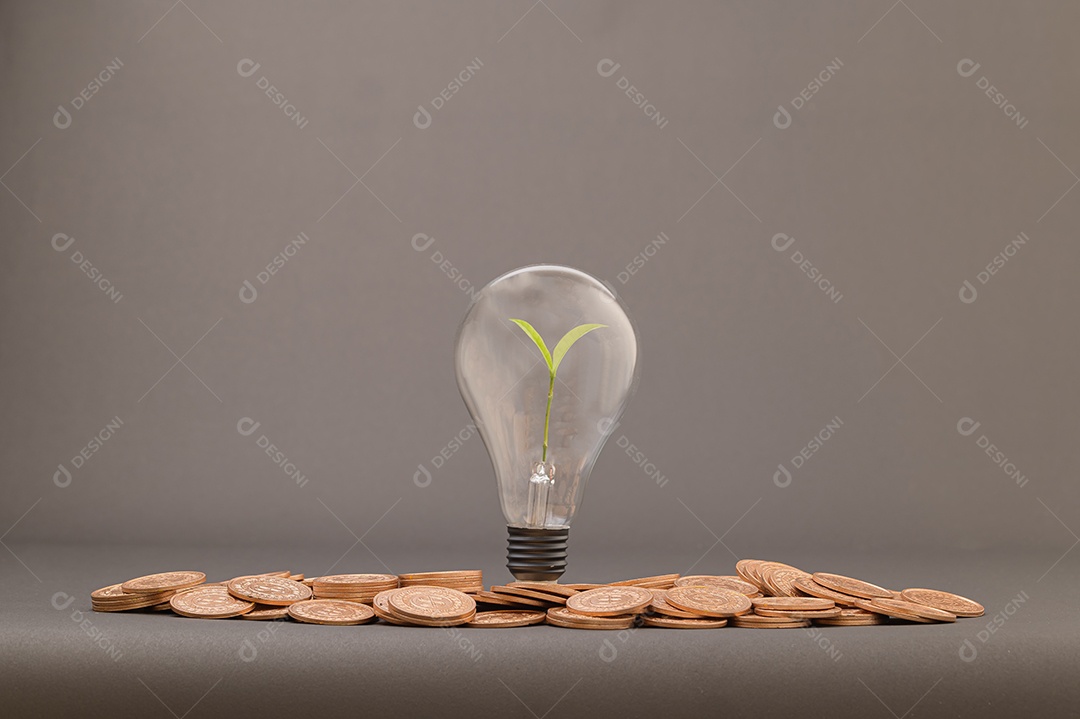 Ideias para aumentar a renda, investir, estocar, economizar