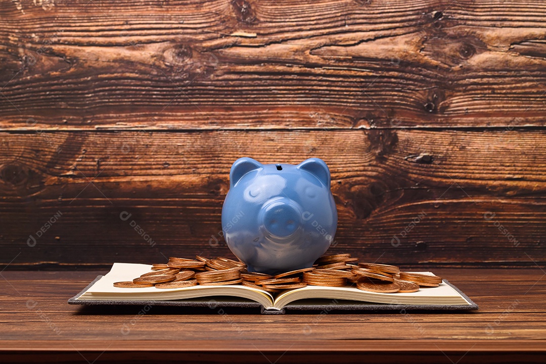 Cofrinho economizar dinheiro, renda, investir, estoque