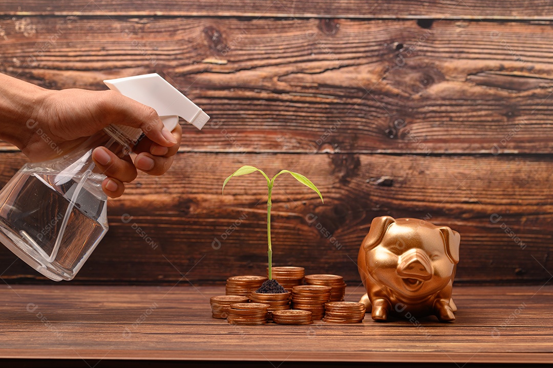 Passaporte Economize dinheiro para viajar e fazer negócios em todo o mundo.