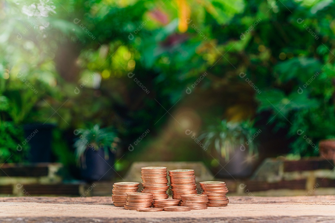 Economizar dinheiro, investir ações, renda financeira