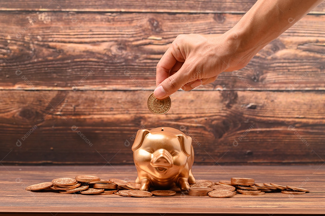 Economize dinheiro, invista, estoque, aumente a receita financeira.