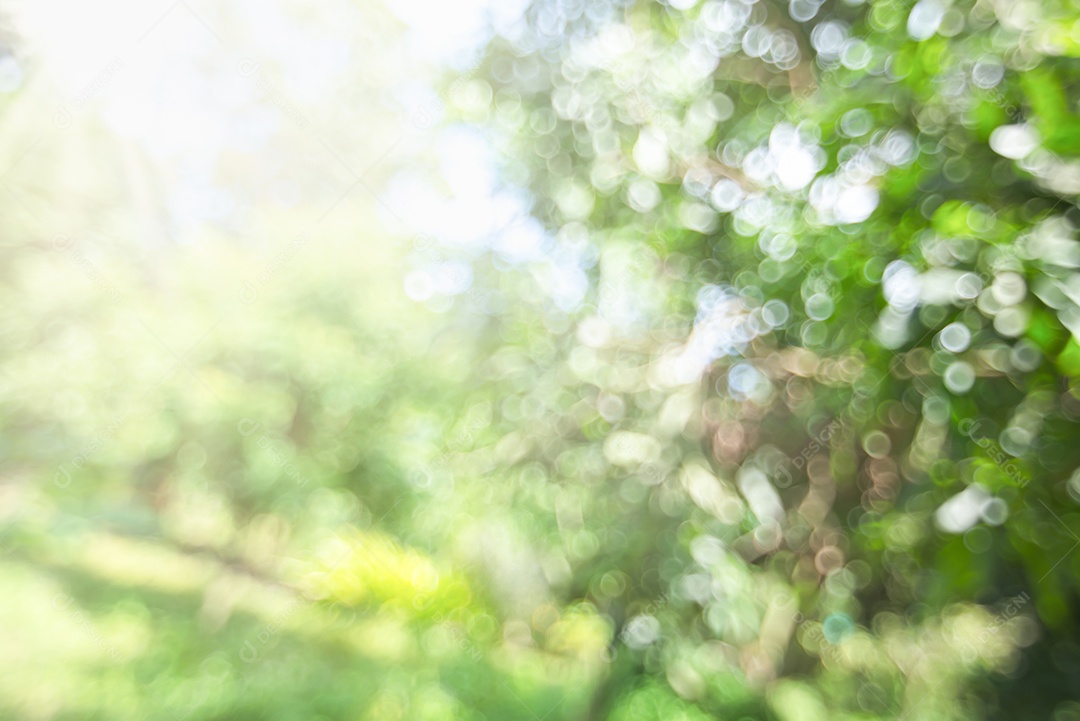 Círculos bokeh desfocados da luz natural verde