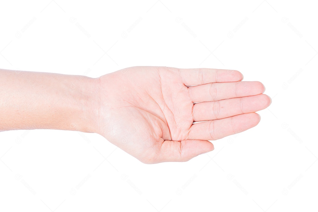 Gestos de mão em um fundo branco