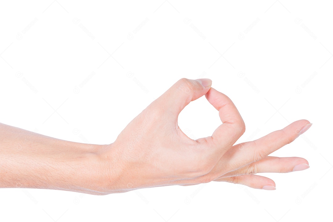 Gestos de mão em um fundo branco