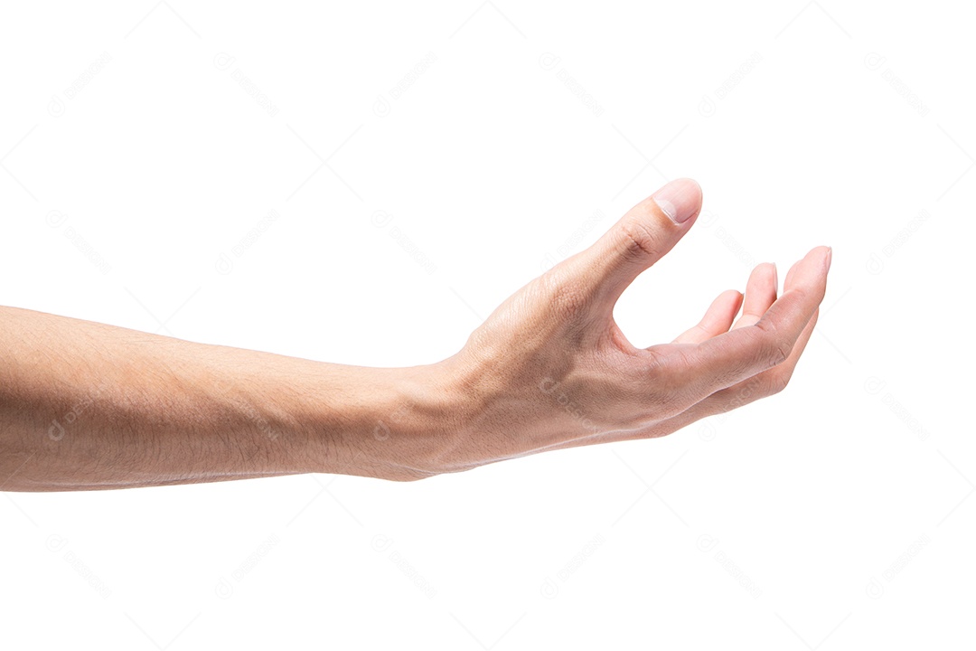 Gestos de mão em um fundo branco