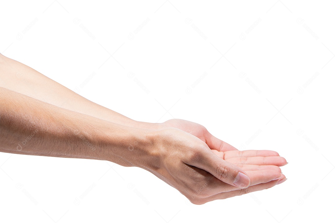 Gestos de mão em um fundo branco