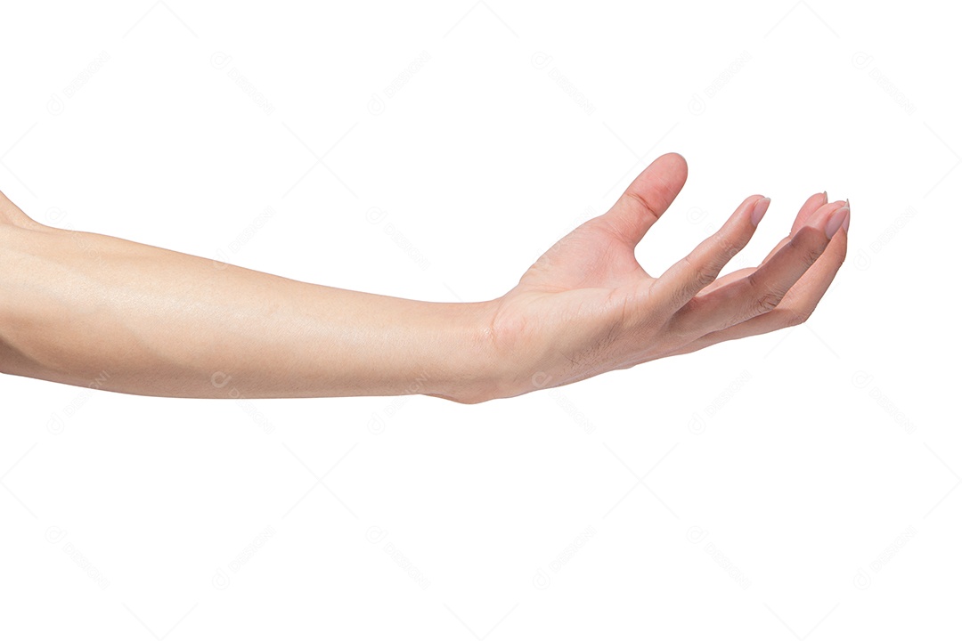 Gestos de mão em um fundo branco