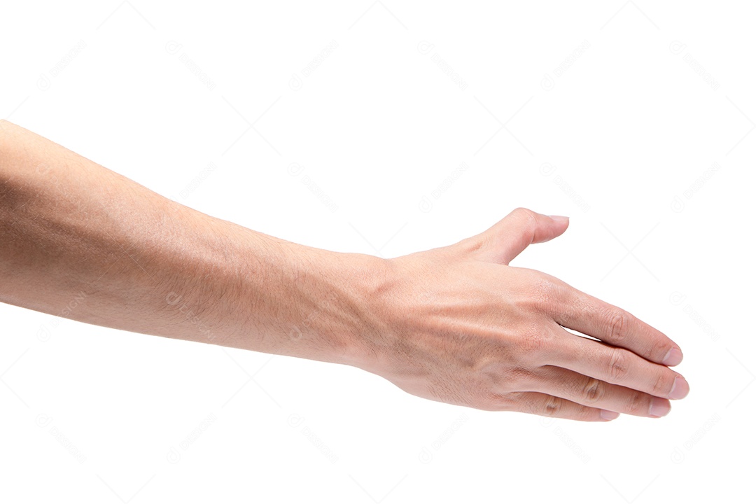 Gestos de mão em um fundo branco