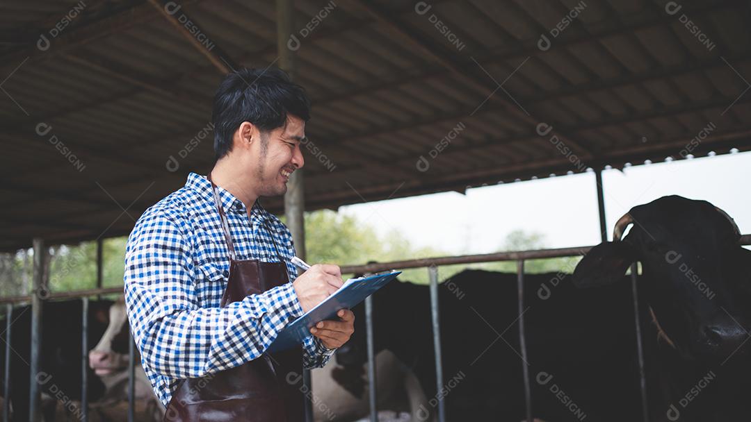 agricultor masculino verificando seu gado e a qualidade do leite na fazenda de gado leiteiro. Conceito de indústria agrícola, agricultura e pecuária, vaca na fazenda de gado leiteiro comendo feno, estábulo.